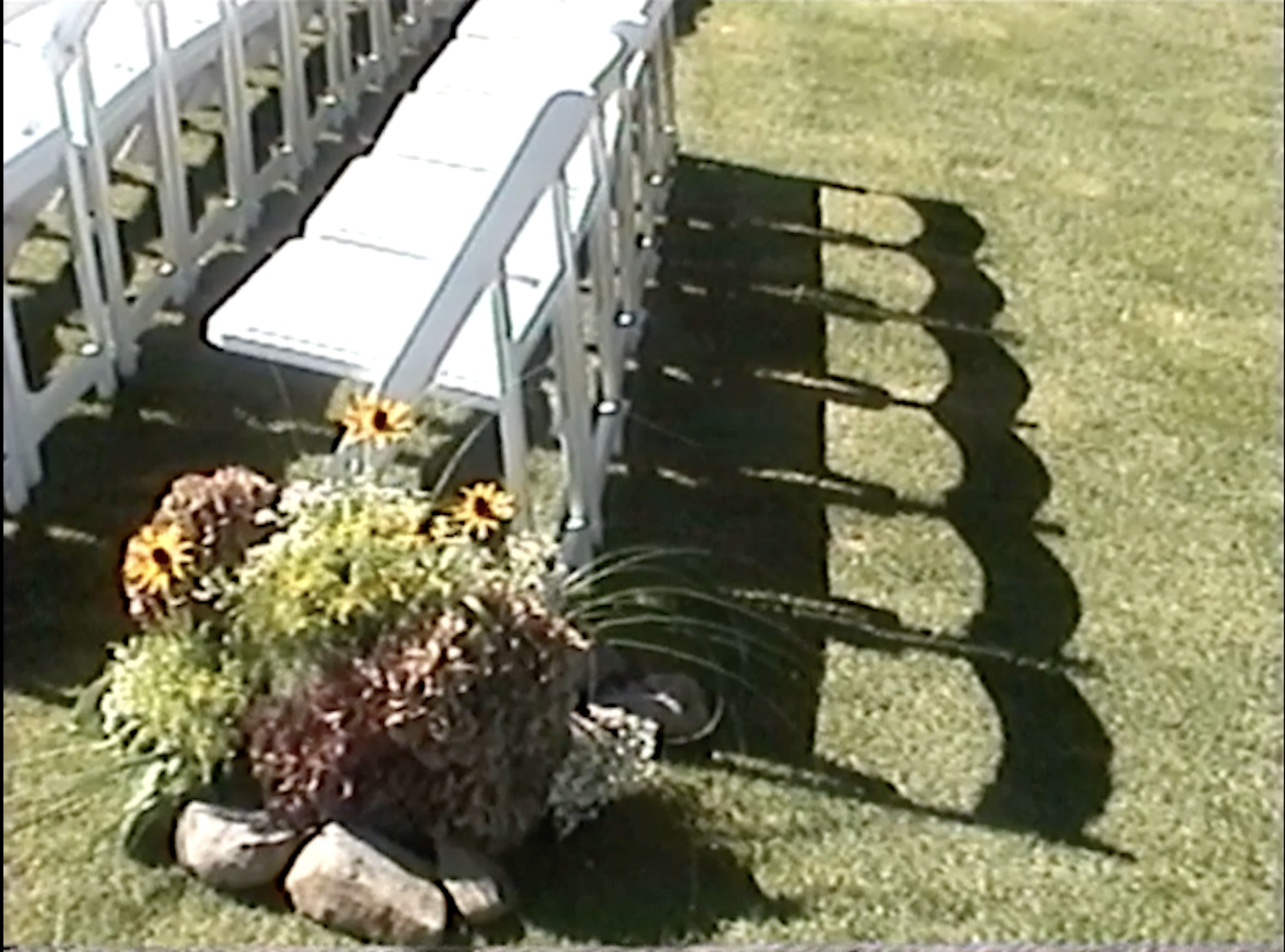 Reception detail on Hi-8